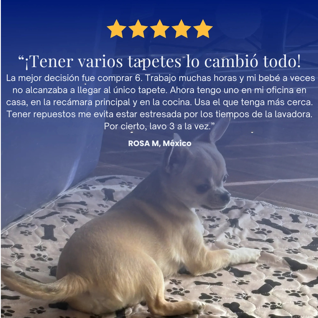 DoggyPad - EL ÚLTIMO TAPETE QUE COMPRARÁS