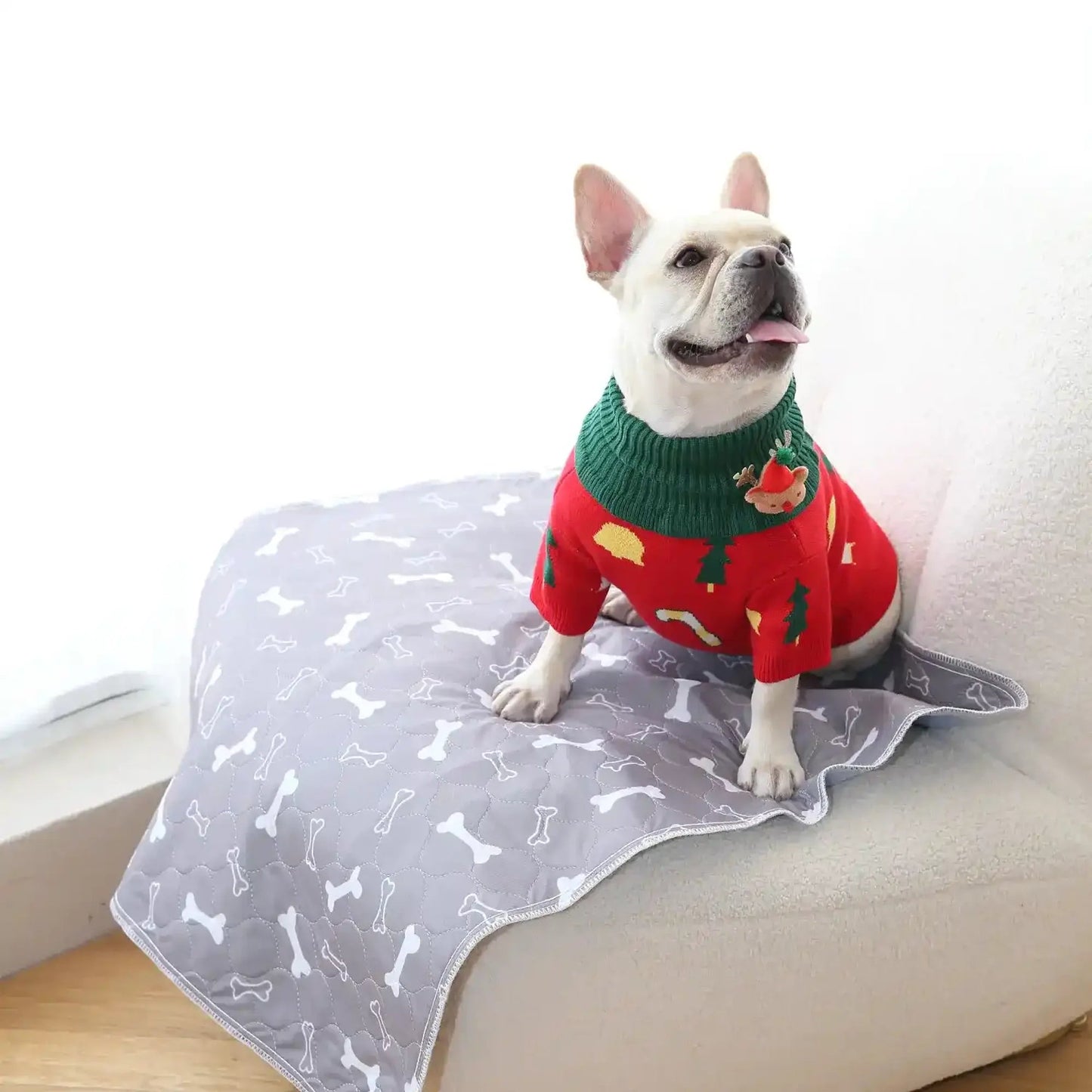 DoggyPad - EL ÚLTIMO TAPETE QUE COMPRARÁS