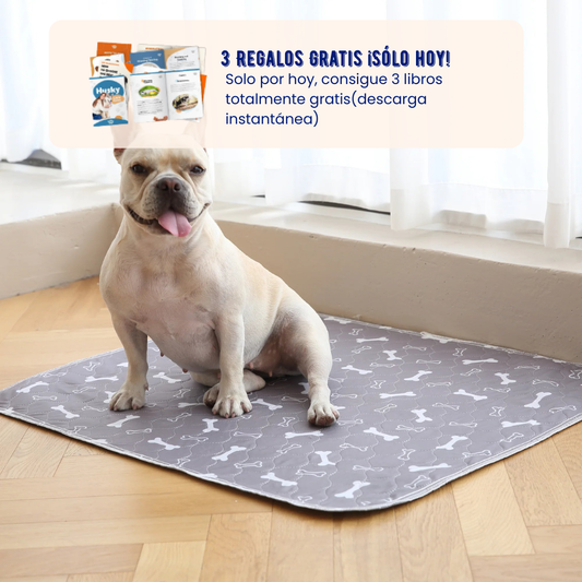 DoggyPad - EL ÚLTIMO TAPETE QUE COMPRARÁS